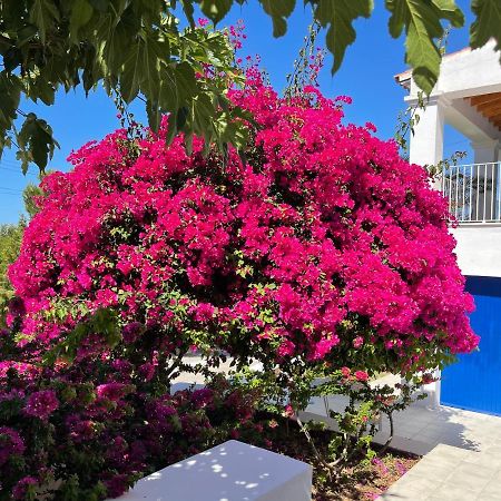 Es Queixal - Can Canet Con Piscina Exterior Climatizada 칼라 바데야 외부 사진