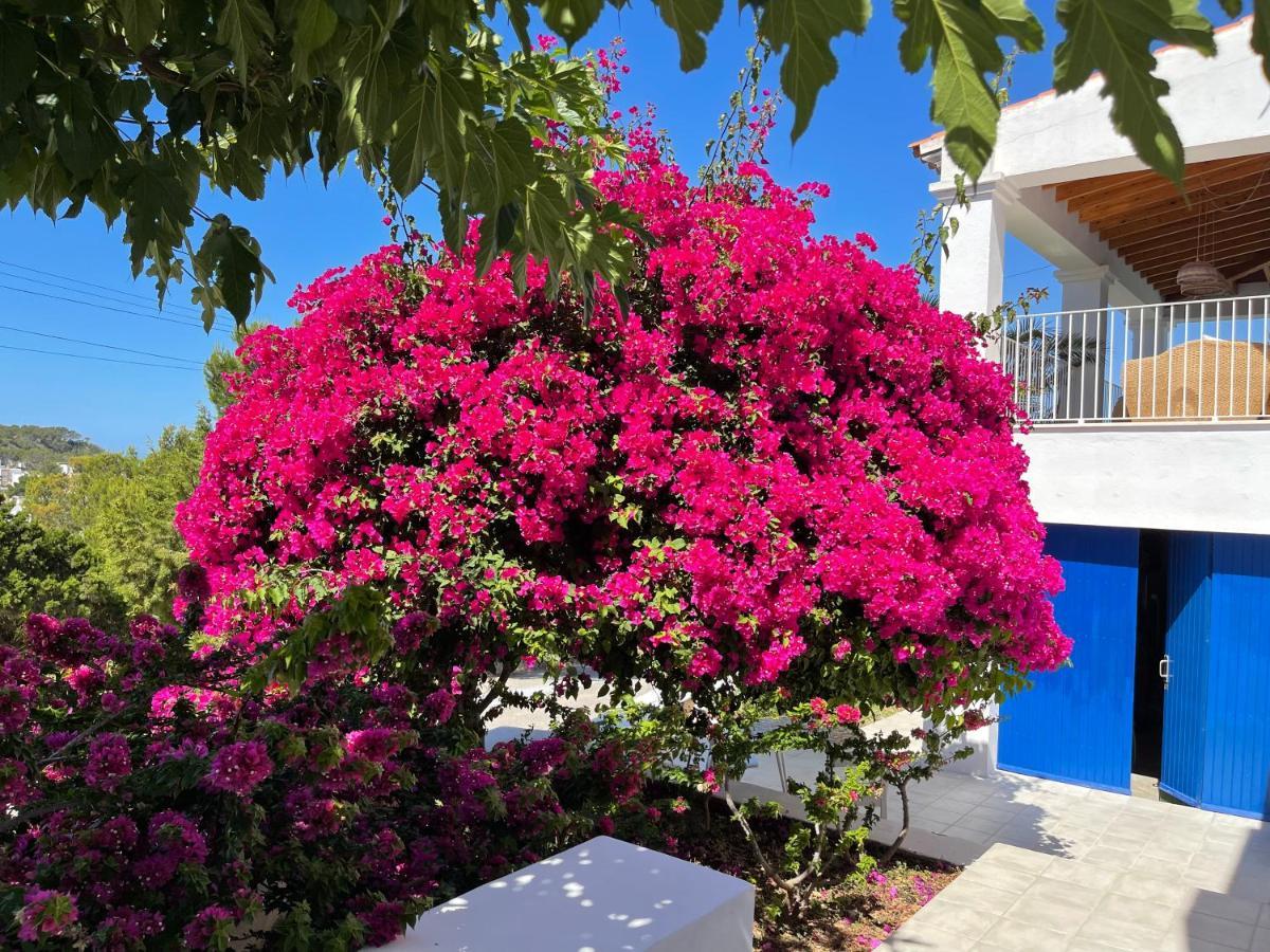 Es Queixal - Can Canet Con Piscina Exterior Climatizada 칼라 바데야 외부 사진