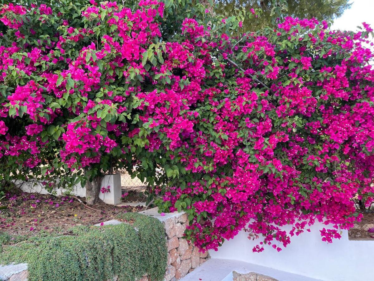 Es Queixal - Can Canet Con Piscina Exterior Climatizada 칼라 바데야 외부 사진